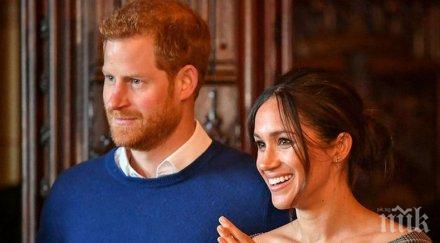 уиндзор полудяха сервират кафе мегхаричино снимки