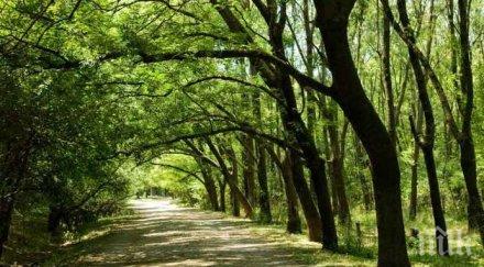 мррб подписан договорът възстановяване представителната част столичния западен парк