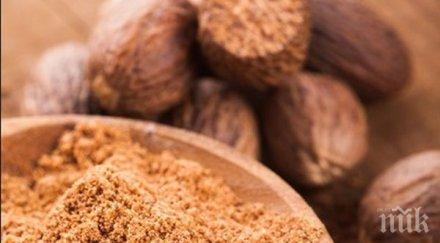 важно индийското орехче предпазва черния дроб