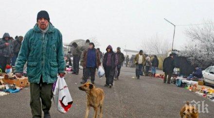 консерви бедни левче битака