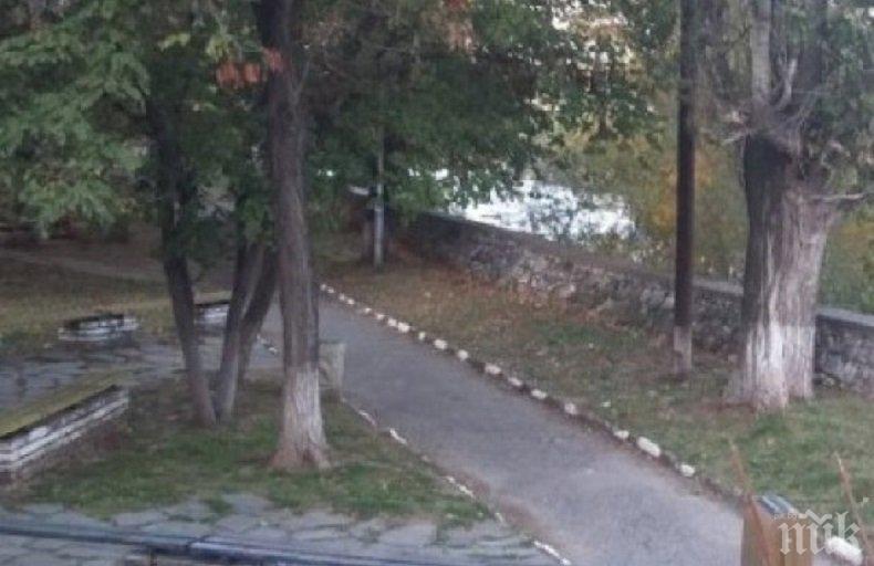 Ученици сами ремонтират парк в Асеновград