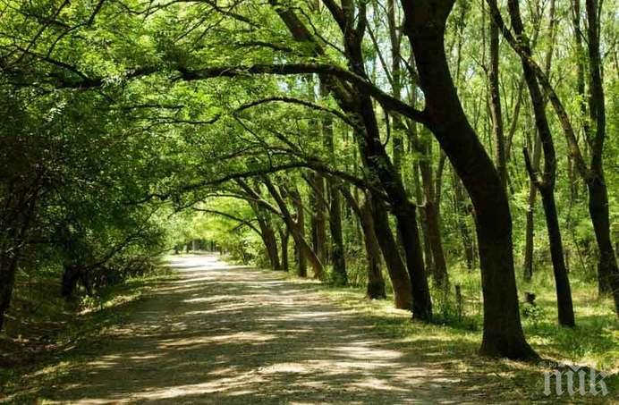 В МРРБ ще бъде подписан договорът за възстановяване на представителната част на столичния Западен парк