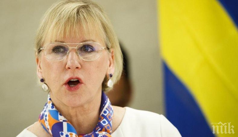 Шведският външен министър заяви, че ЕС няма единна позиция за израелско-палестинския конфликт