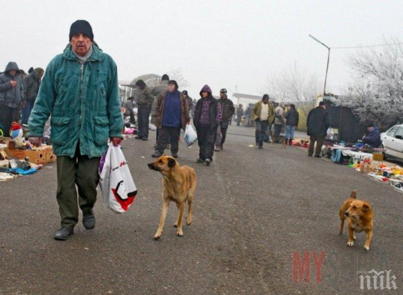 Консерви за бедни по левче на битака