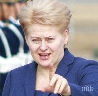 Президентът на Литва: Сърбия смята Крим за украински, но не въведе санкции срещу Русия