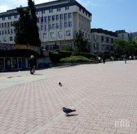 11 социално слаби ще редят плочки и павета в Асеновград