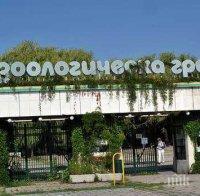 Зоопаркът в София става на 130 години