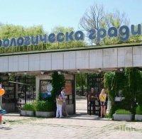 Зоопаркът в София празнува рожден ден! Какви изненади са приготвени за уикенда