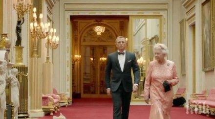 застраховаме домашния любимец лева месец