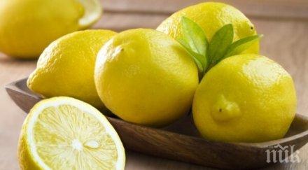 лимонът безценен плод тялото домакинството