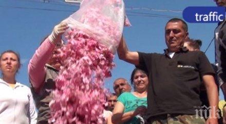 порожанов готов мерките помощ розопроизводителите