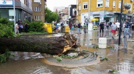 отмениха частичното бедствено положение община плевен