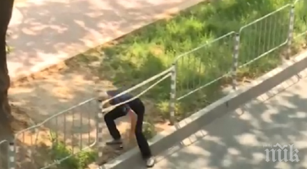 диващина недомислица пешеходци трошат огради пресичат