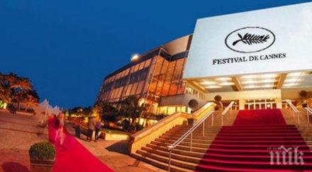 скандали кинофестивала кан