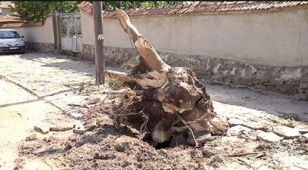 градушка порой удариха стралджа