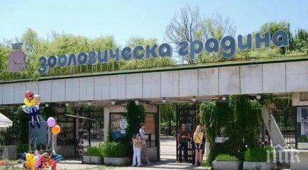 зоопаркът софия празнува рожден ден какви изненади приготвени уикенда