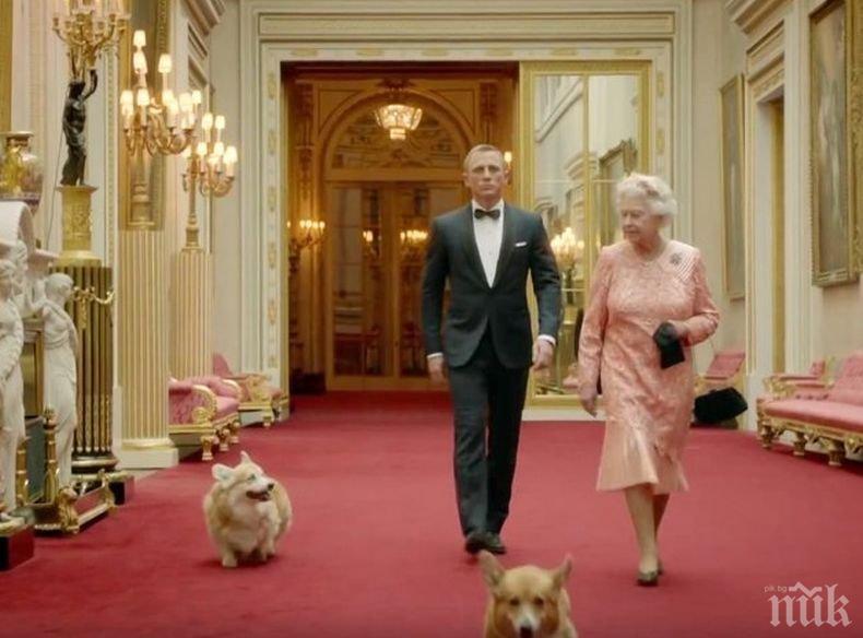 Застраховаме домашния любимец с 15 лева на месец