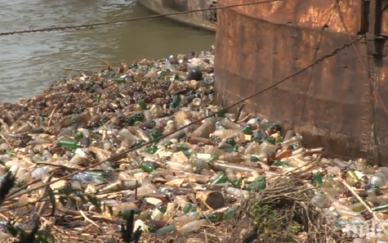 Паника в Русе: Екологична катастрофа дебне Дунав