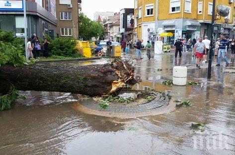 Отмениха частичното бедствено положение в Община Плевен