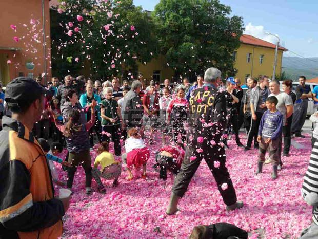Невиждан бунт на розопроизводителите в Пловдивско  (ВИДЕО)
