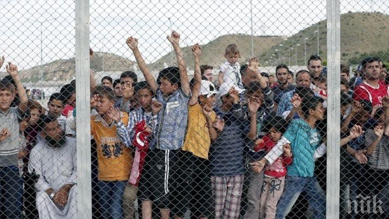 270 мигранти не бяха допуснати от властите в Босна и Херцеговина на територията на Хърватия