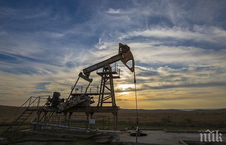 Русия, Саудитска Арабия и Обединените Арабски Емирства обсъждат доставките на петрол