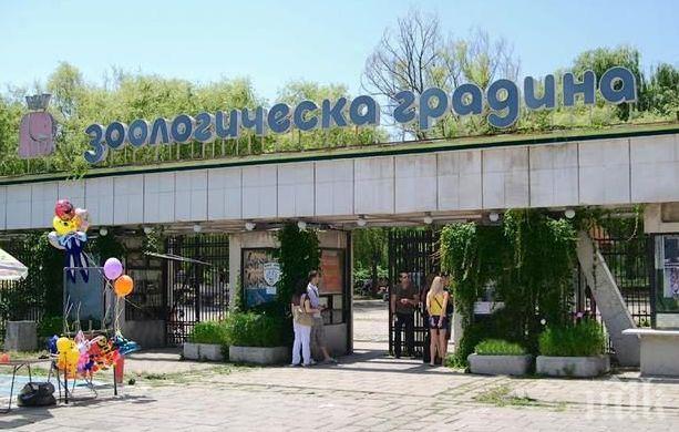 Зоопаркът в София празнува рожден ден! Какви изненади са приготвени за уикенда Зоопаркът в София празнува рожден ден! Какви изненади са приготвени за уикенда