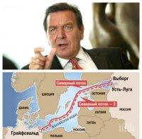 Герхард Шрьодер разкритикува ЕС и САЩ заради позицията им по „Северен поток-2“