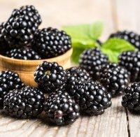 Диетолози посочиха най-добрите храни за закуска