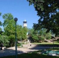 НАПАСТ! Армия от кърлежи дебне на Сахат тепе