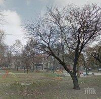 Полицаи откриха наркотици на детска площадка в Пловдив