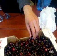 Полиция и жандармерия ще пазят черешите в Кюстендилско