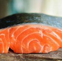 Норвежката сьомга достигна рекордни цени