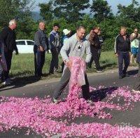 В Стрелча отмениха празника на розата, излизат на протест