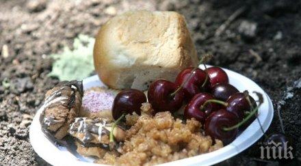 черешова задушница