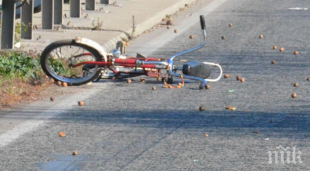 смърт пътя годишна прегази пенсионерка колело