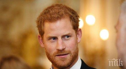 код червено разкриха прави рижавите мъже шампиони леглото