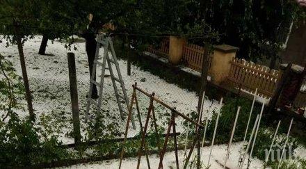 първо пик панагюрище побеля градушка стопаните плачат градинките снимки