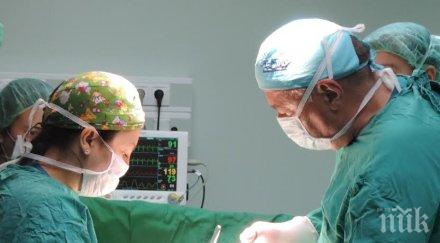 първо пик състоянието жестоко нахапаното куче годишно дете крумово