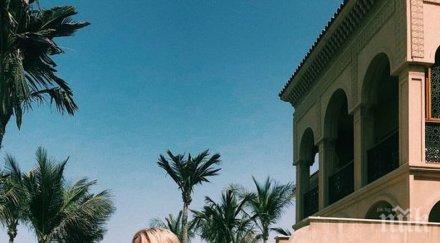 сватбата светлана гущеров изнасят чужбина