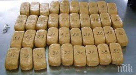 герой кучето ричи надушило хероина 125 млн лева