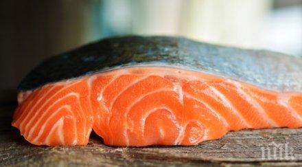 норвежката сьомга достигна рекордни цени