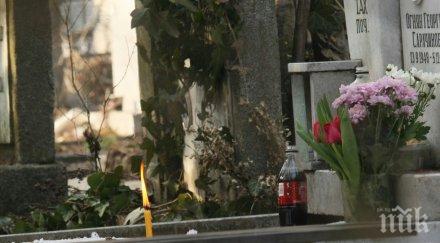 пускат допълнителен градски транспорт софия заради задушница