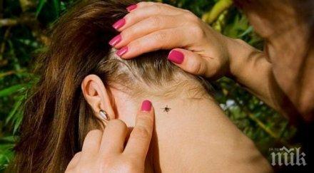 шок лаймската болест крие кръвта години