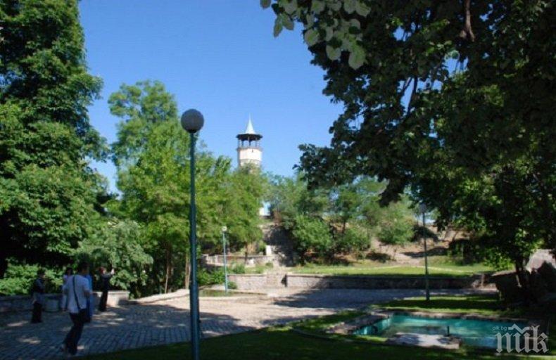 НАПАСТ! Армия от кърлежи дебне на Сахат тепе