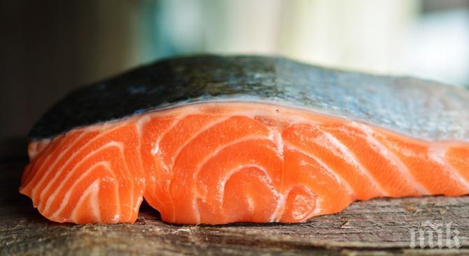 Норвежката сьомга достигна рекордни цени