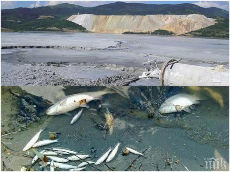Отново мъртва рибата в река Банска, екоинспекцията прави проверка 