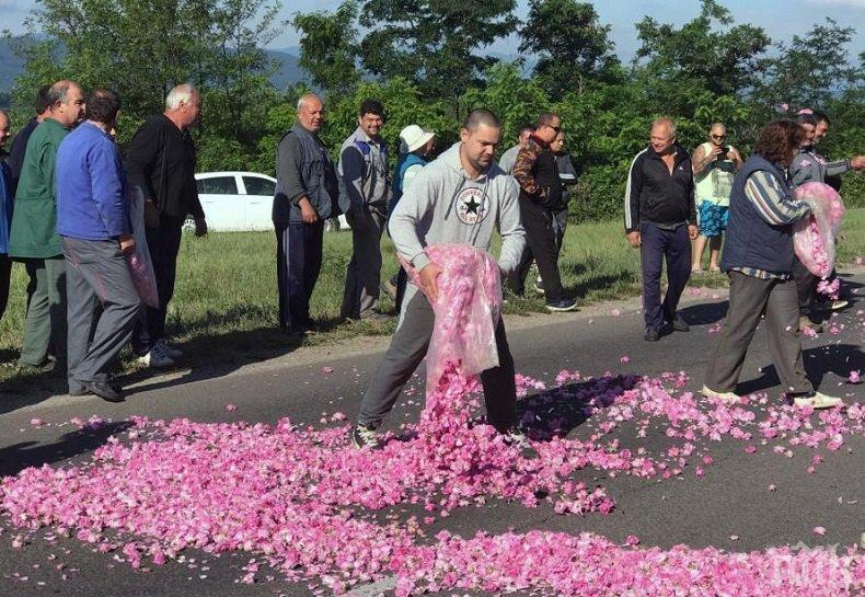 В Стрелча отмениха празника на розата, излизат на протест