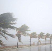 Тропическата буря „Алберто“ отслабва с наближаването на Флорида