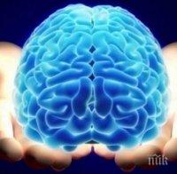 ПРОУЧВАНЕ ШОКИРА: COVID-19 променя мозъка, подобно на Алцхаймер